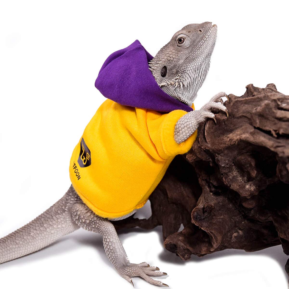Watfoon Lizard Clothes Bearded Dragon Sweater Winter Hoodies Warm Coat Soft Touching For Leopard Reptile Gecko Anole Amphibians