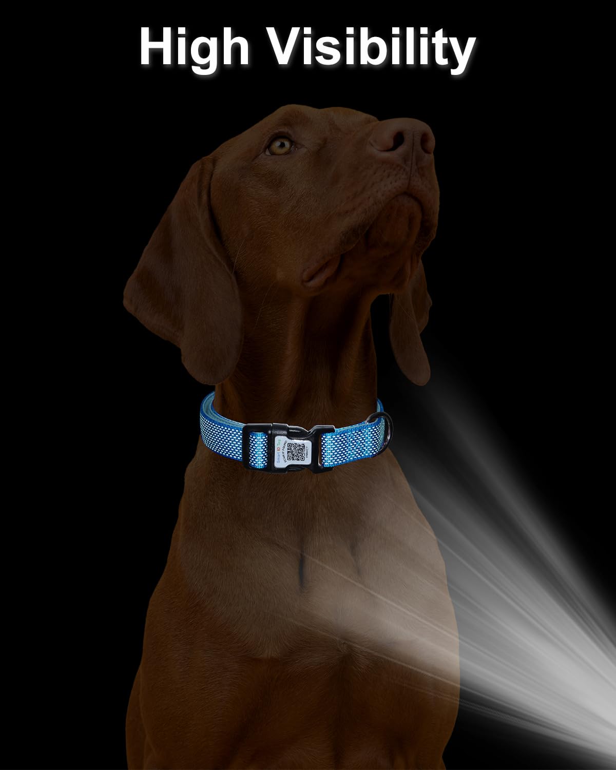 WhoseID AirTag Dog Collar - Adjustable Neoprene Padded, QR Code Buckle, Small, Blue