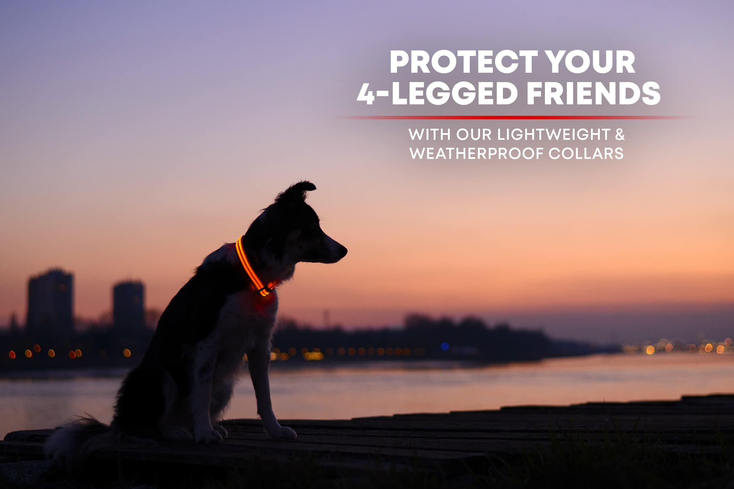 Illumiseen LED Light Up Dog Collar - USB Rechargeable, Weatherproof, X-Large (Bright Orange)