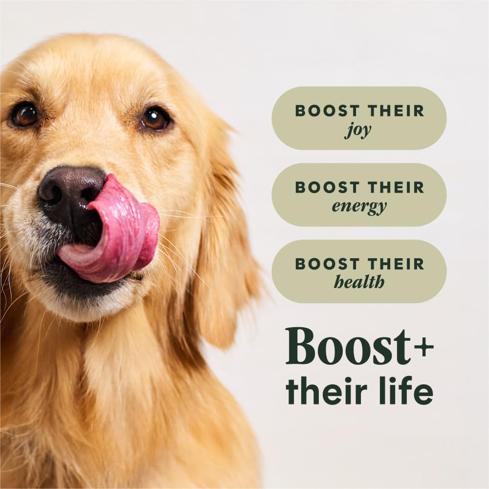 Instinct Raw Boost, Natural Dry Dog Food with Freeze Dried Pieces, High Protein, Grain Free Recipe - Real Chicken, 20 lb. Bag