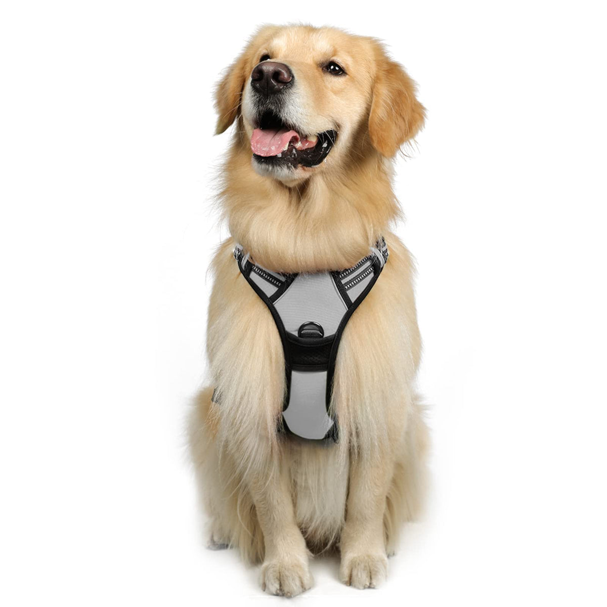 Rabbitgoo Dog Harness, No-Pull Pet Harness With 2 Leash Clips, Adjustable Soft Padded Dog Vest, Reflective No-Choke Pet Oxford Vest With Easy Control Handle For Large Dogs, Grey, L