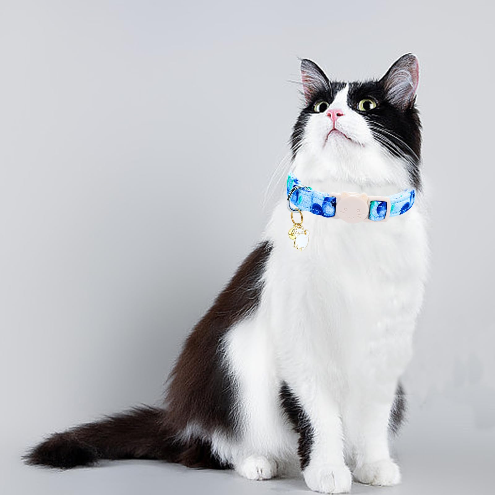 Lionheart Glory Cat Collar Breakaway With Bell & Pendant Blue Kitten Collars Soft Adjustable Safety 2 Pack Kittens For Boy Cats