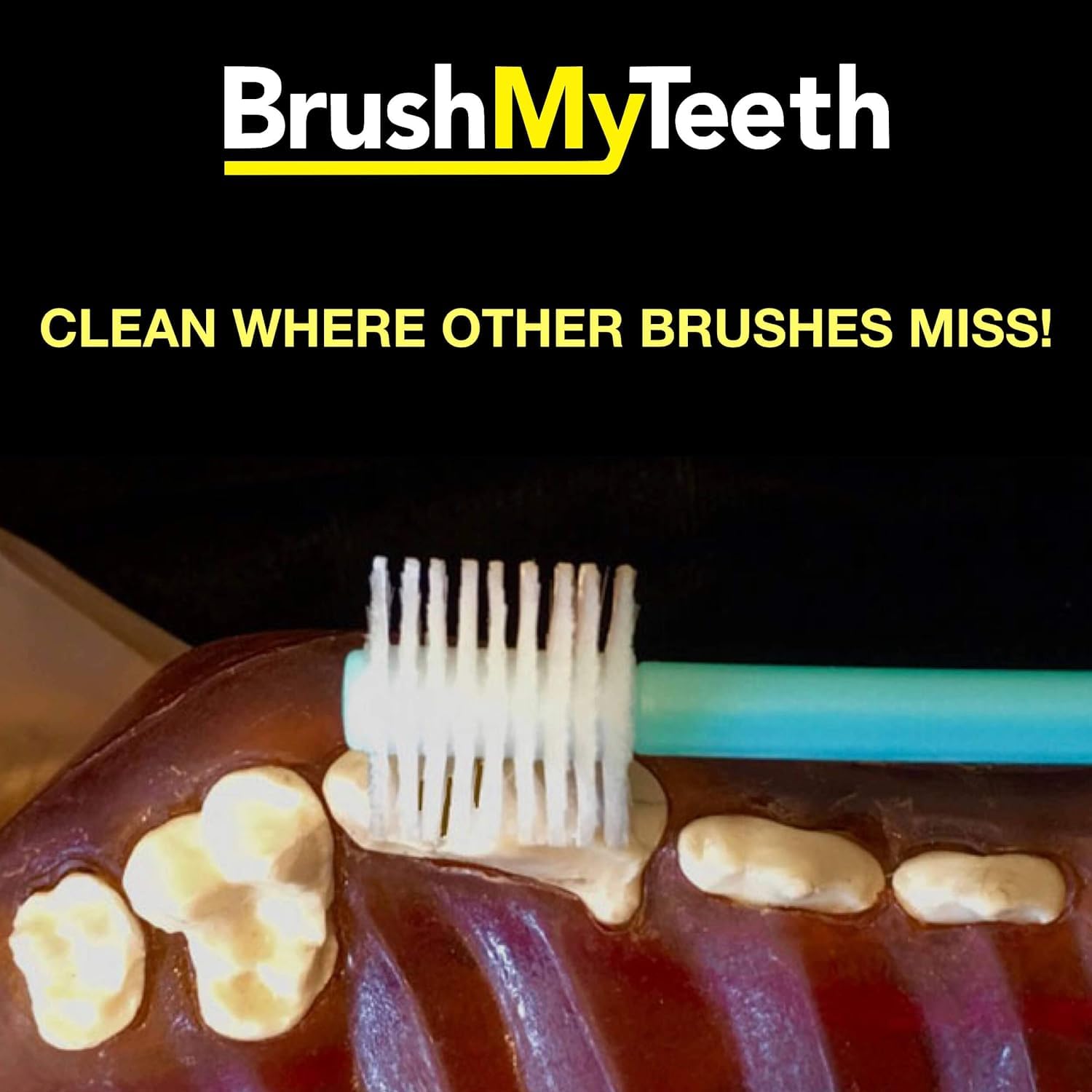 Brush My Teeth Medium Dog Toothbrush - Rounded Brush Head -Soft Flexible Bristles- for Safe and Gentle Brushing for Doggie, Any