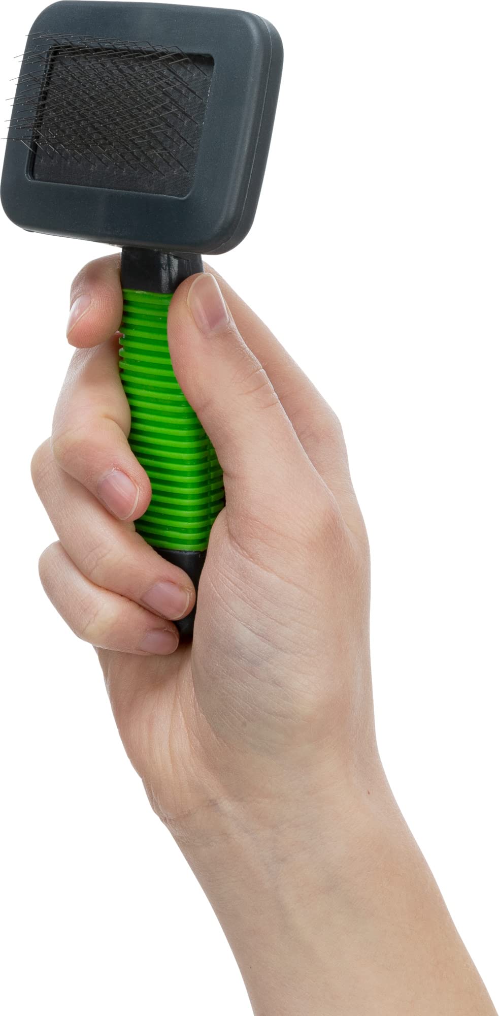 Trixie Pet Grooming Soft Brush & Comb Set For Puppies, Kittens, And Small Animals