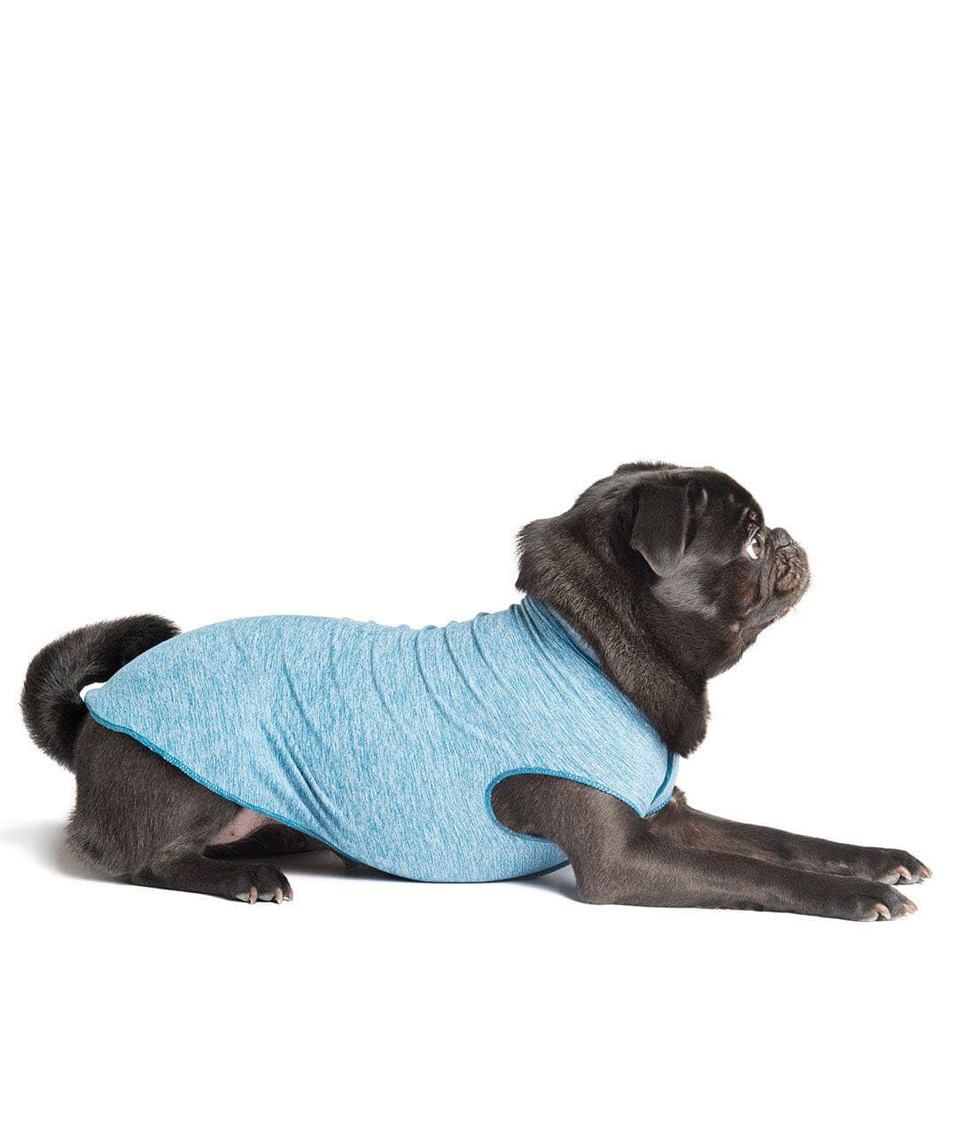 Gold Paw Sun Shield Dog Tee – T-Shirt For Canines – Uv Protection, Pet Anxiety Relief, Wound Care – Protects Against Foxtails, Aids Alopecia - Machine Washable, All Season – Size 14 – Ocean Blue