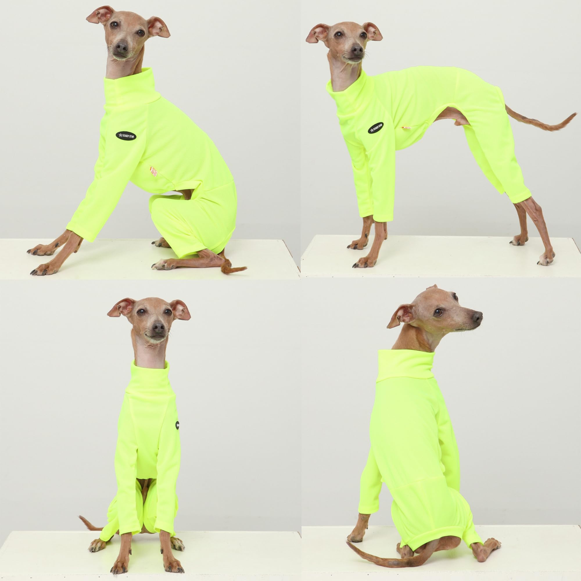 D Doggy Star Italian Greyhound Clothes Strechy Neon Onsie Spring Summer (2Xl,Onsi Ne Yellow)