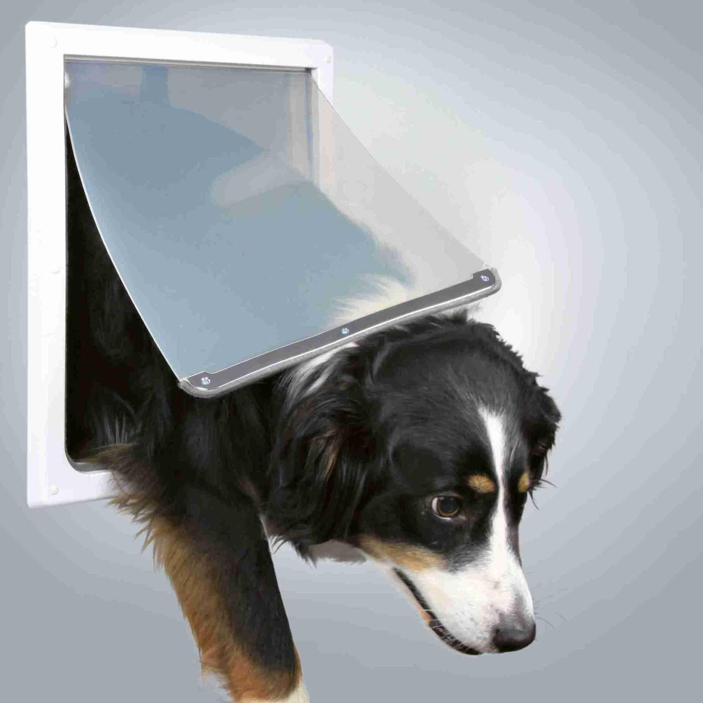 Trixie Pet Products 2-Way Locking Dog Door, Medium To X-Large Dogs, White