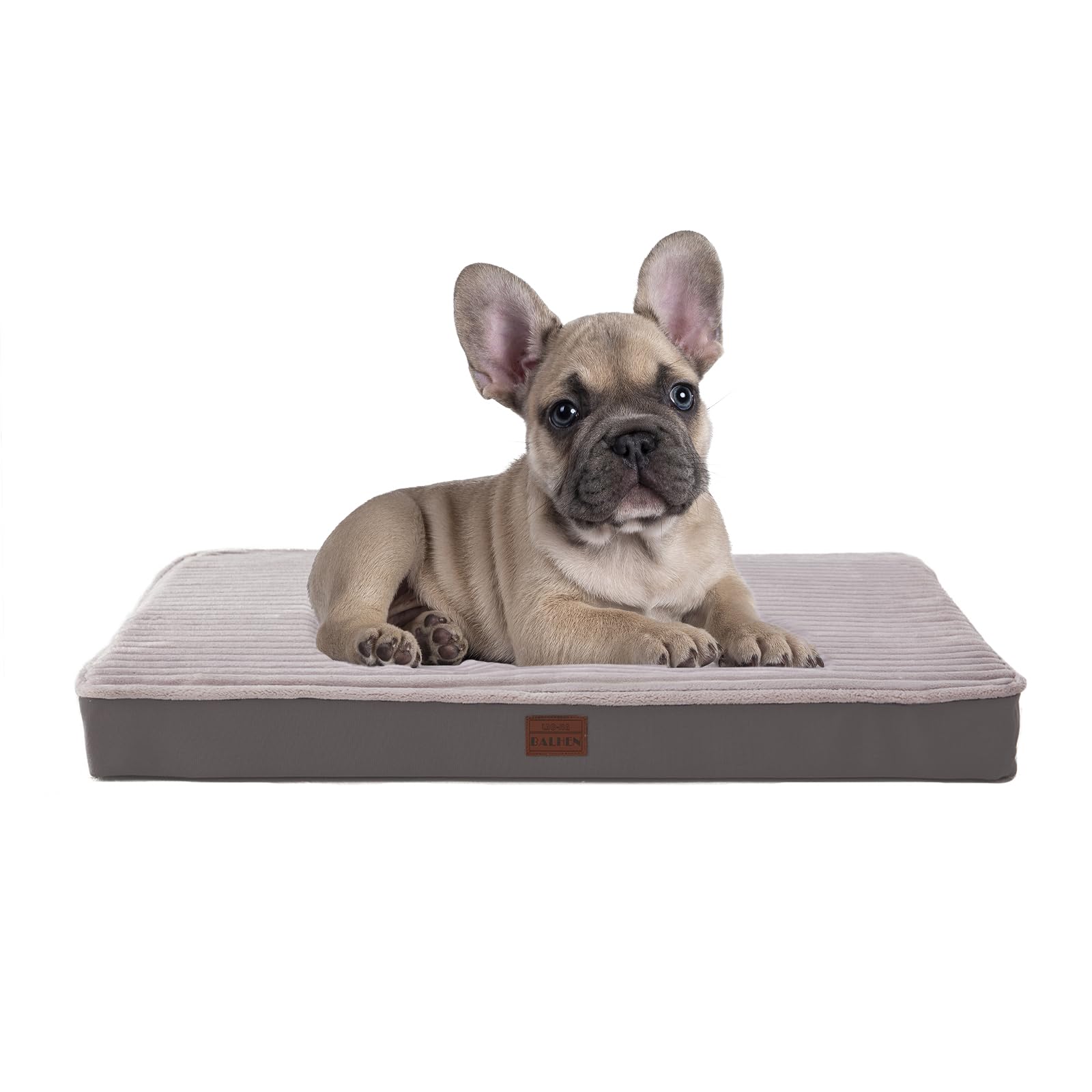 Orthopedic Dog Bed For Small Dogs - Soft Plush Washable With Egg Crate Foam, Waterproof & Removable Cover, Anti-Slip Bottom, Com