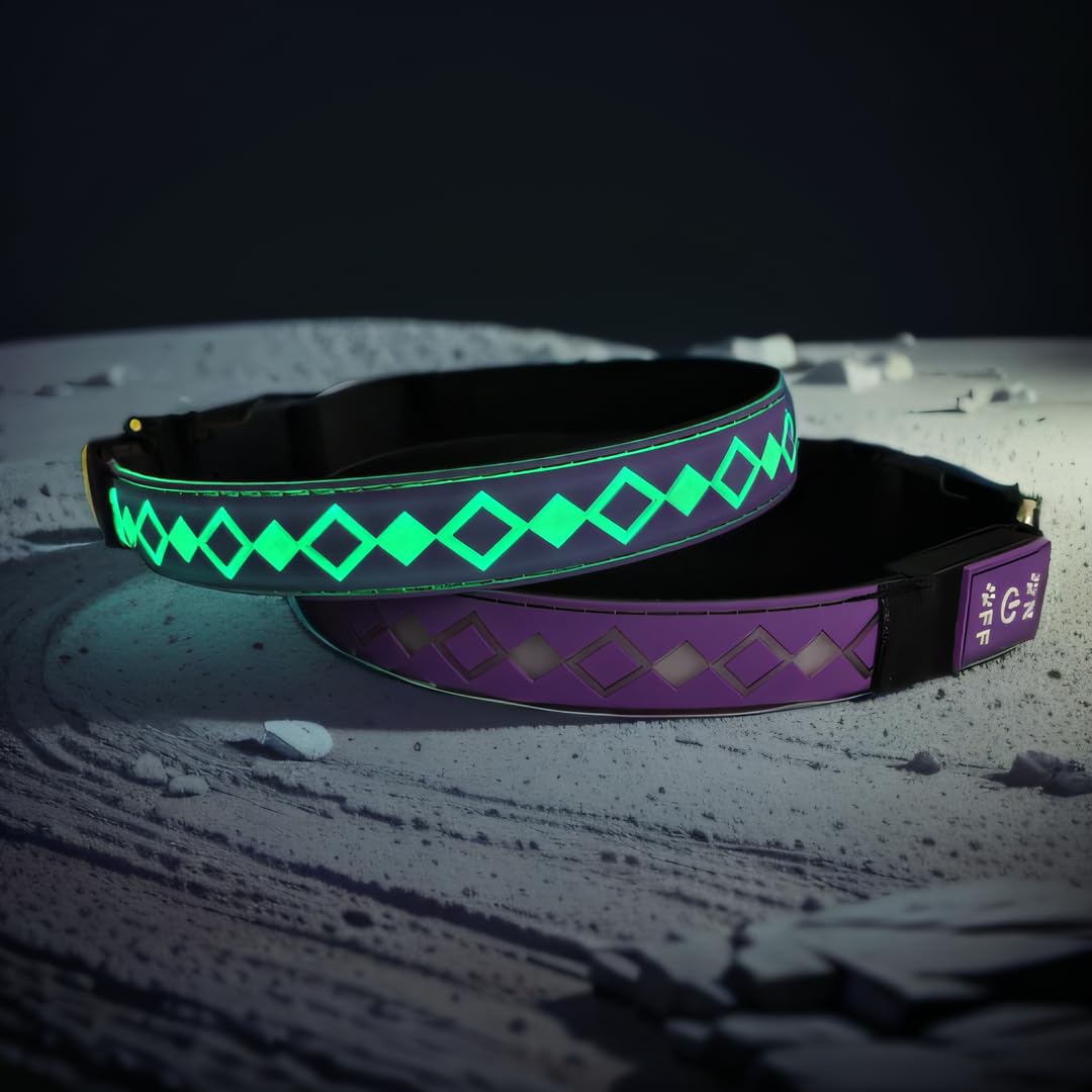 Dogled Usb-C Led Light Up Dog Collar, 3D Design Comfortable And Soft Material,Multicolored Lighting,Night Dog Collar (Lx-Purple,