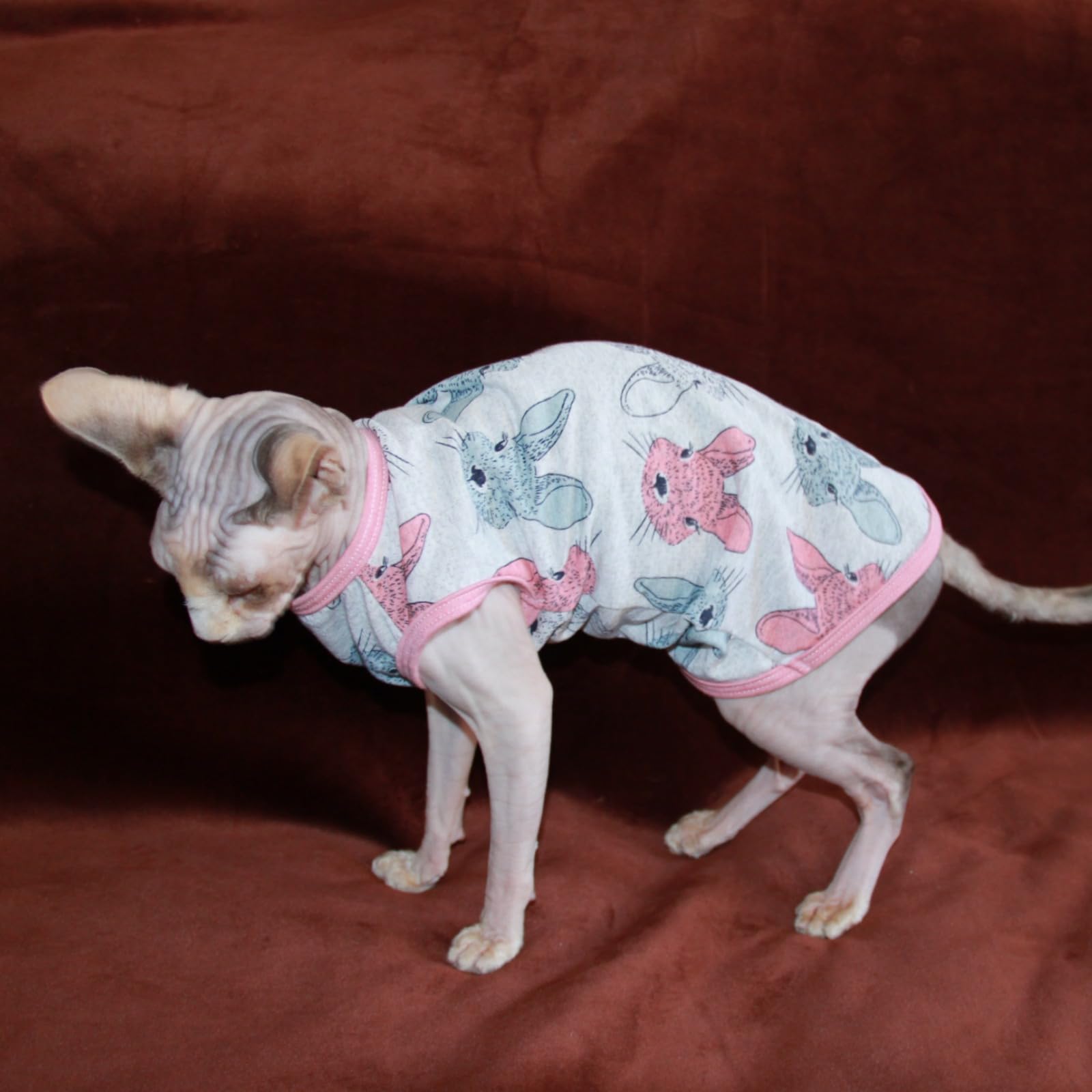 Sphynx Cat Clothes Vest Hairless Cat T-Shirts Pet Kitten Clothes Kitten Shirts Vest Cats & Small Dogs Apparel (Easter Bunny, Med