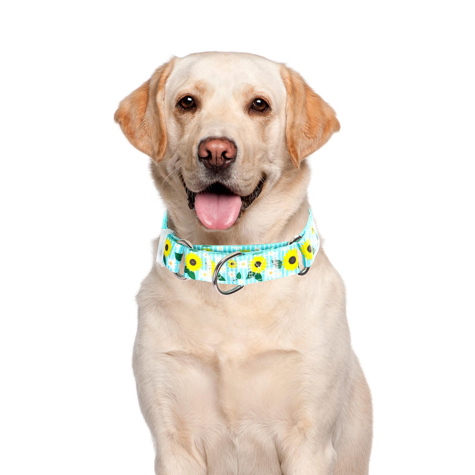 Martingale Collar For Dogs, Adjustable Soft Nylon Dog Collars With Special Design Sunflower Patterns For Small Medium Large Dog(