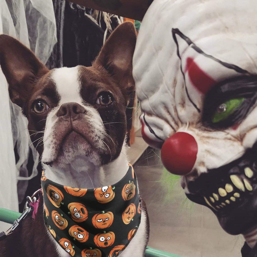 2 Pack Halloween Bandana For Dogs,Triangle Bibs Pet Scarf For Dogs