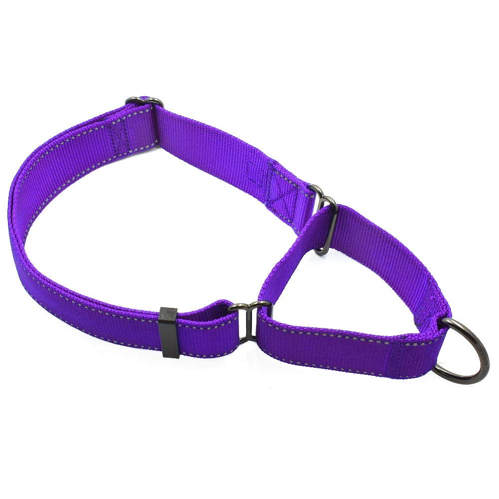 Max & Neo Nylon Extra-Large Dog Martingale Collar - Every Collar Sold Donates To Dog Rescue (Purple)