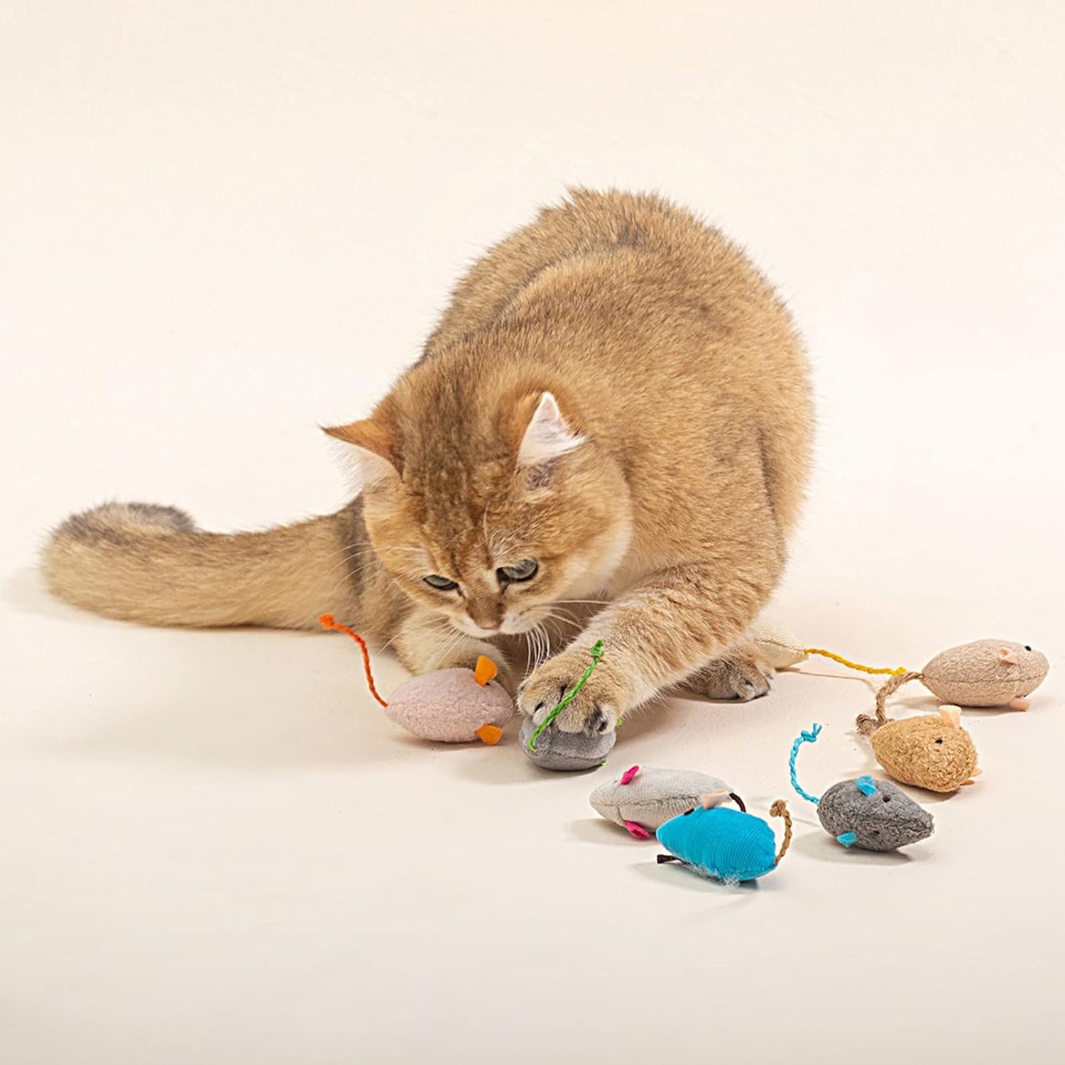 5Pcs Blue Catnip Toy, Catnip Toys Balls, Teaser Toy Mouse Shape Interactive Lightweight Relieve Boredom Pet Teething Toy Cat Sup