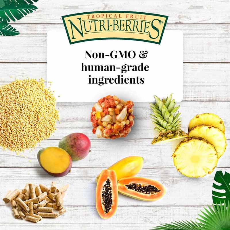 LAFEBERS Tropical Fruit Nutri-Berries Pet Bird Food, Made with Non-GMO and Human-Grade Ingredients, for Cockatiels Conures Para