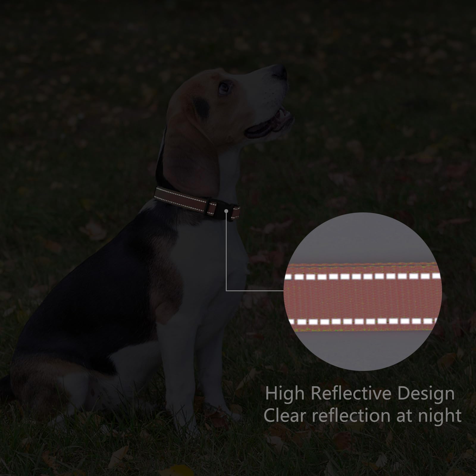 Penseepet Reflective Dog Collar Padded With Soft Neoprene Breathable Quick Release Basic Dog Collars For Puppy Small Dogs Coral