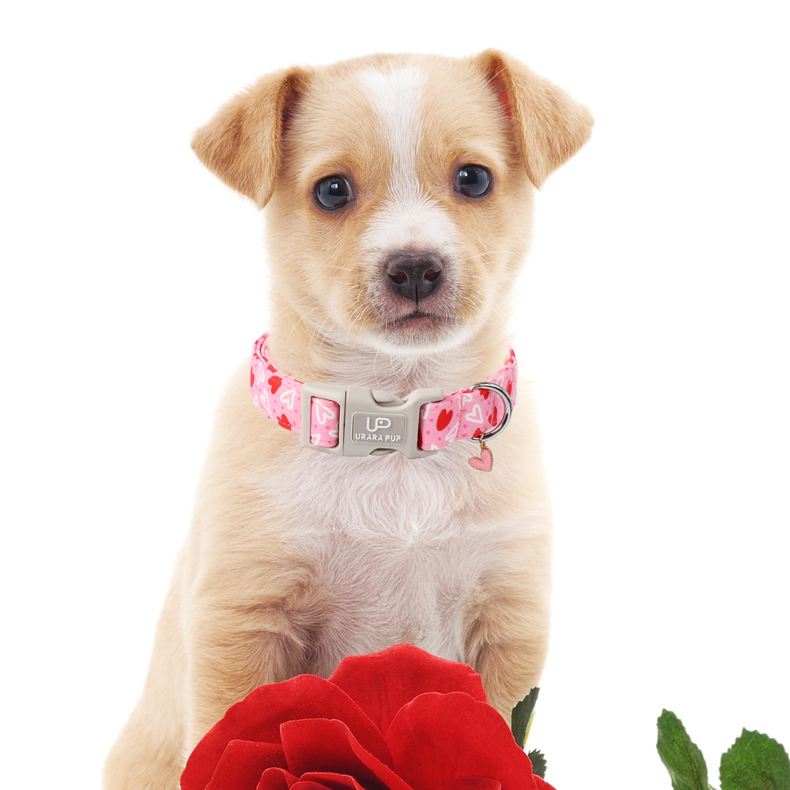 Up Urara Pup Valentines Dog Collar, Pink Heart Dog Collar With Quick Release, Valentines Gift Pet Girl Boy Dog Collar For Puppy