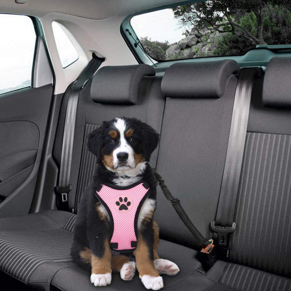 Slowton Dog Car Harness Seatbelt Set, Dog Vest Harness Adjustable Mesh Breathable & Vehicle Safety Seat Belt Tether With Elastic Bungee For Small Medium Large Pets(Pi,Xxxs)