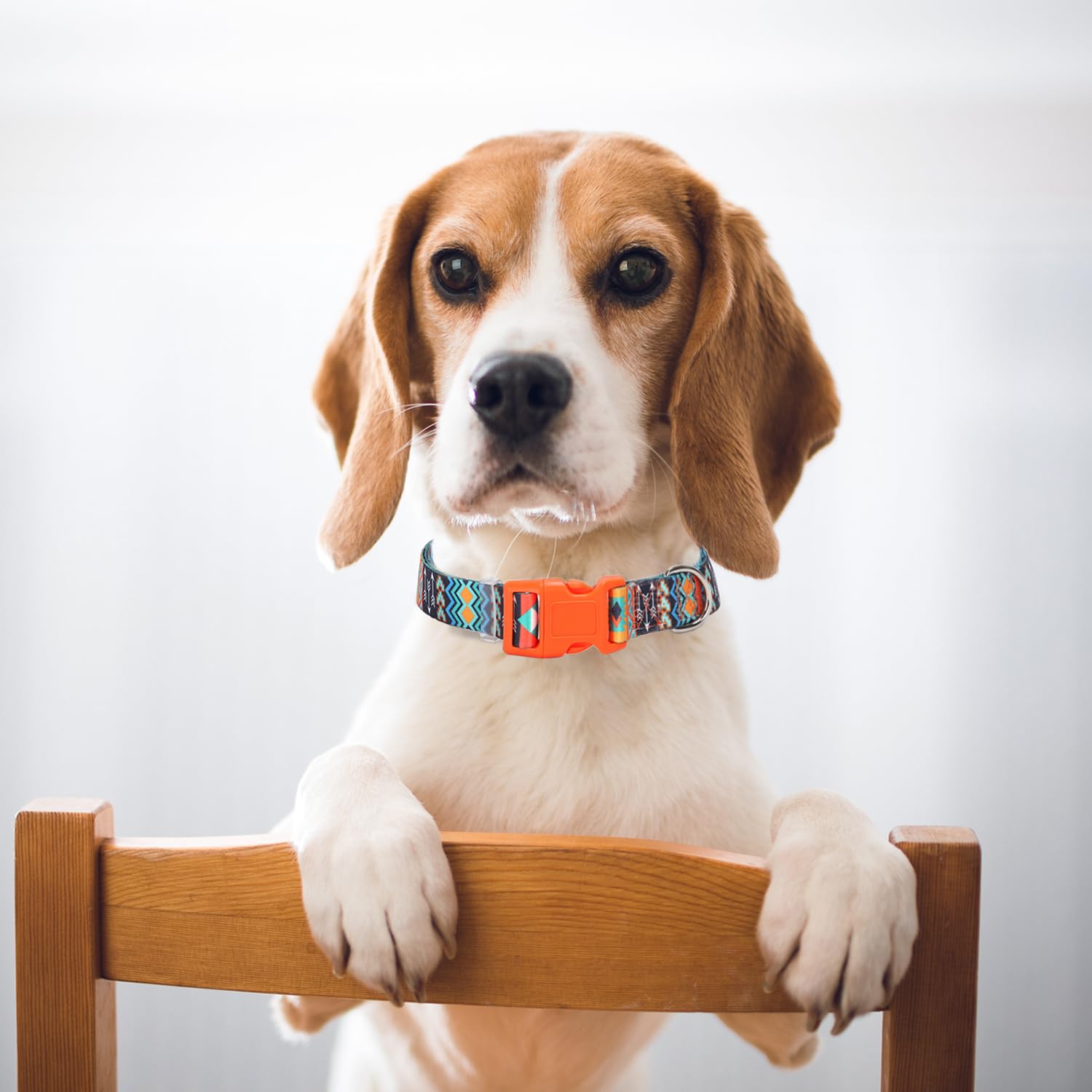 Dog Collar For Large Dogs With African Tribal Aztec Mexican Native Southwestern Boho Pattern, Adjustable Pet Collars For Xs Smal