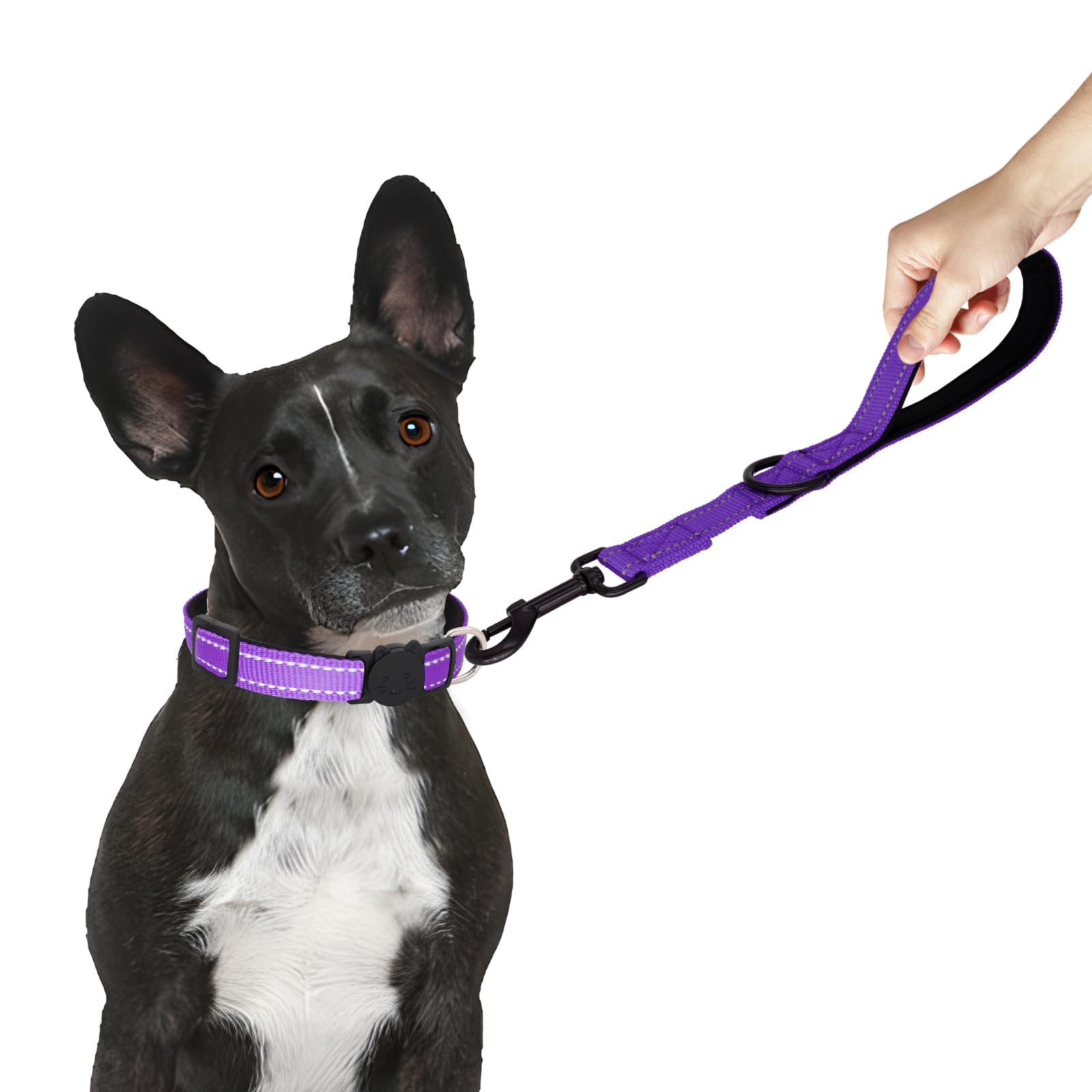 Giecooh Short Dog Leash, Reflective Traffic Leash With Padded Handle, 1 Ft Nylon Training Leashes For Small Meidum Large Dogs, P