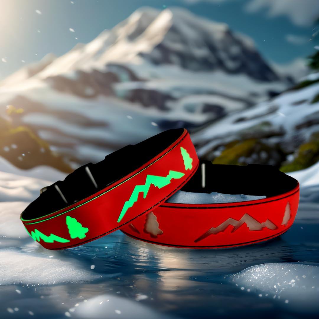 Dogled Led Dog Collar, 15 Light Modes, Usb-C Rechargeable, Silicone Material, Adjustable Size, (Red, M(11.8-15.7''))