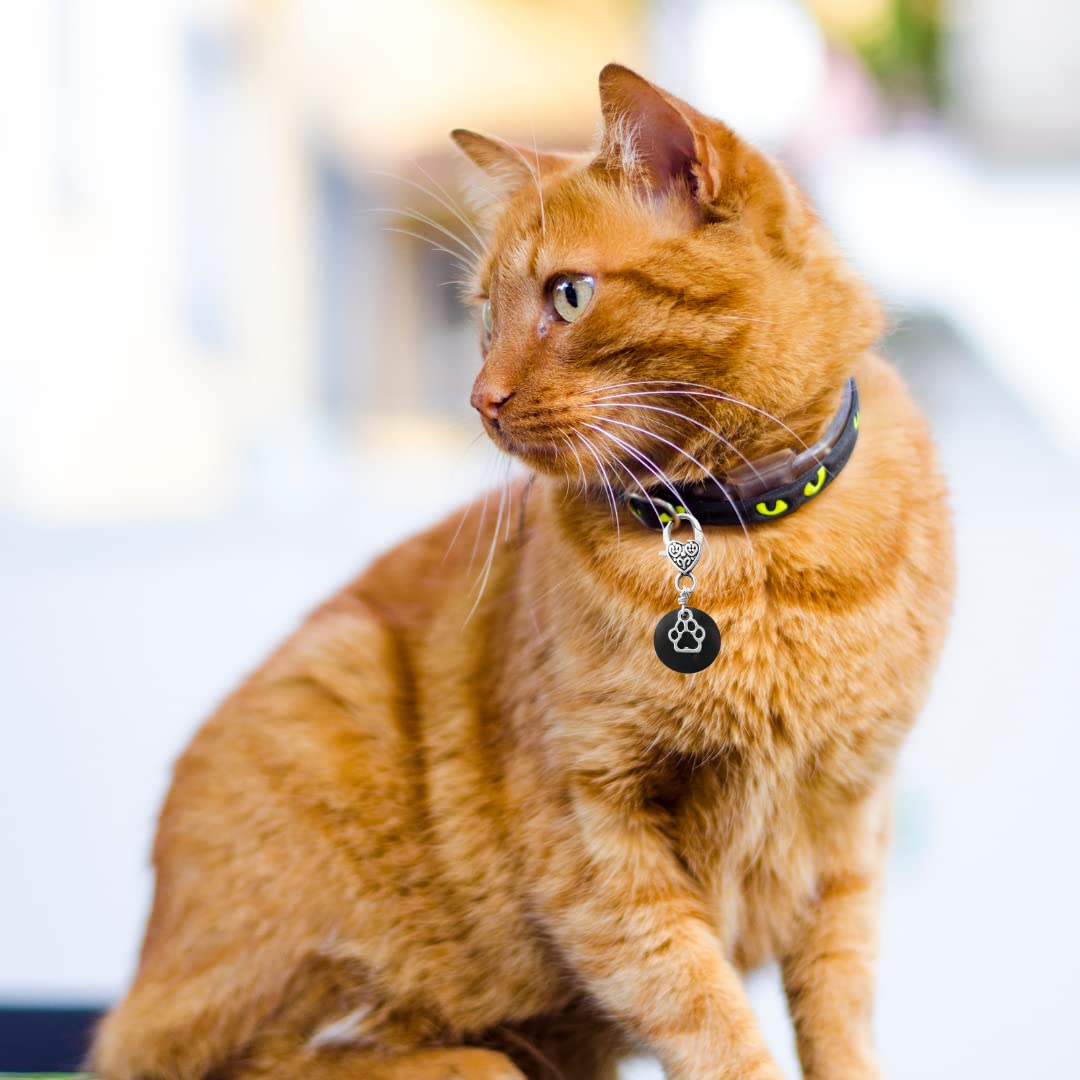 100% Shungite Pet Collar Charm - Natural Protection Dogs Cats Puppies Kittens Best Affordable Christmas Holiday Gift Idea Keychain - 100% Authentic, Black Crystal Stone (Small/Medium)