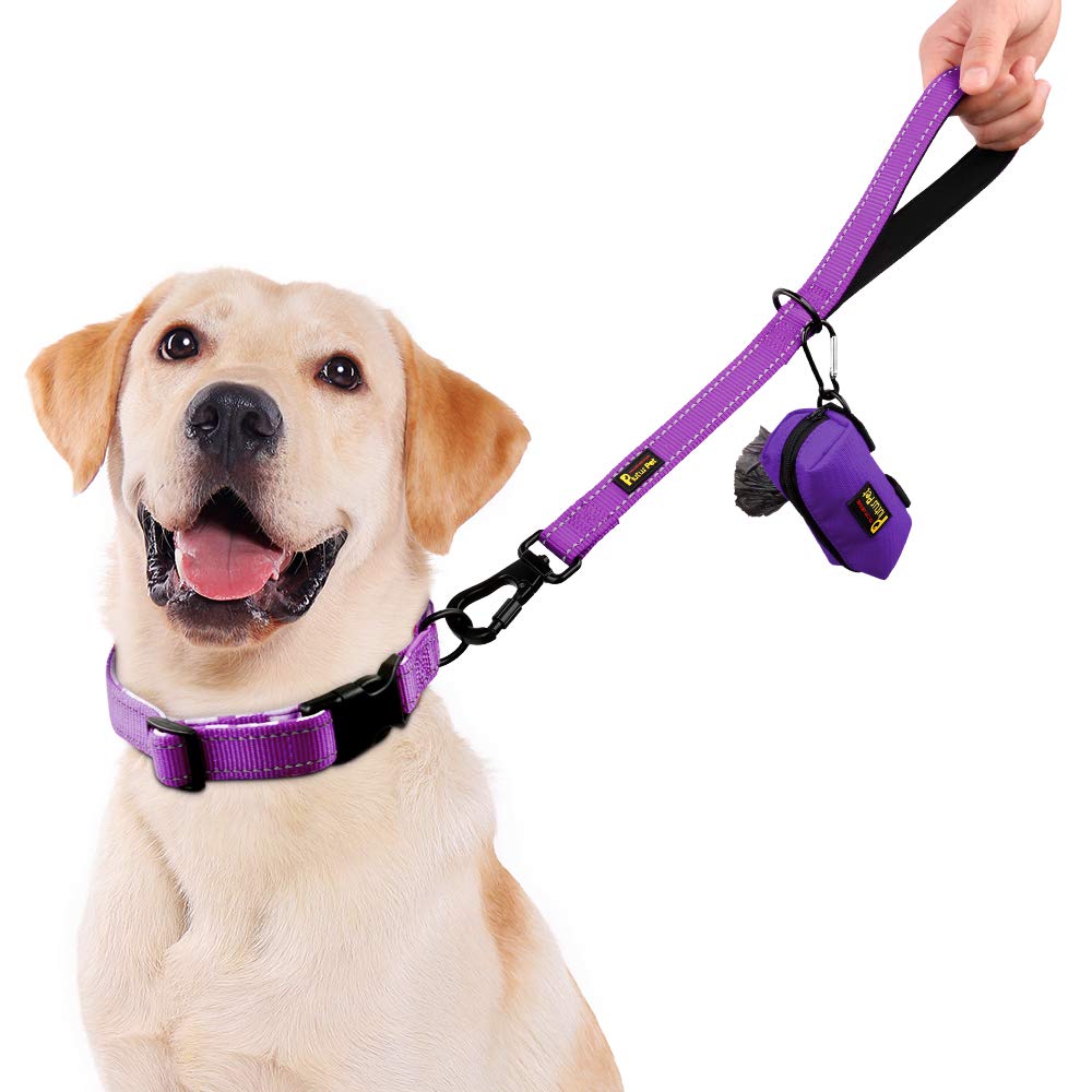 Plutus Pet Short Training Dog Leash With Padded Handle For Medium Large Big Dogs,18 Inch Heavy Duty Strong Traffic Leash With Carabiner Clip For Climbing Walking Or Guiding Blind (18',Purple)