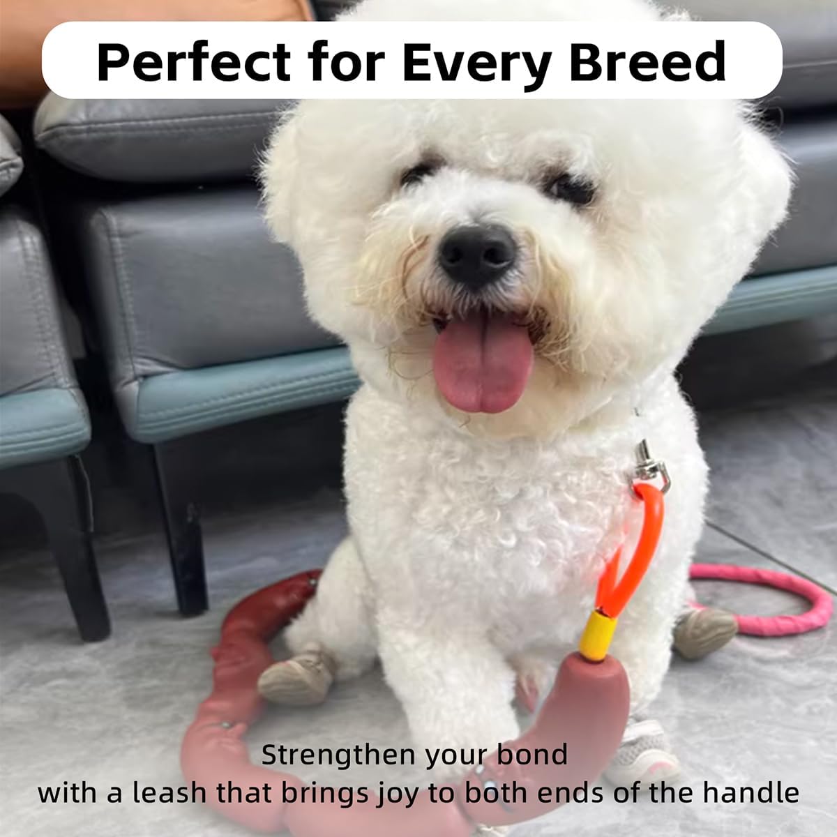 Manon Rosa Sausage Leash Hot Dog Walking Gear - Durable Rubber Wiener Hotdog Leash - Playful Pet Chew Toy For Small Dogs & Puppi