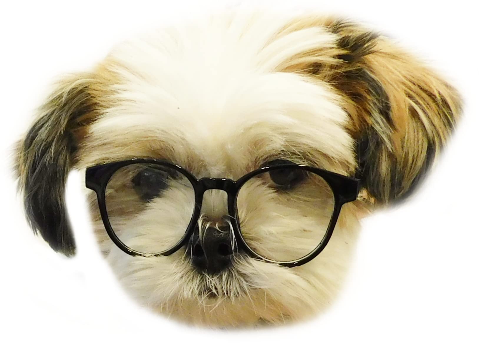 G015 Dog Cat Pet Round Costume Glasses For Small Breeds Up To 15Lbs (Panto Black-Clear Lens)