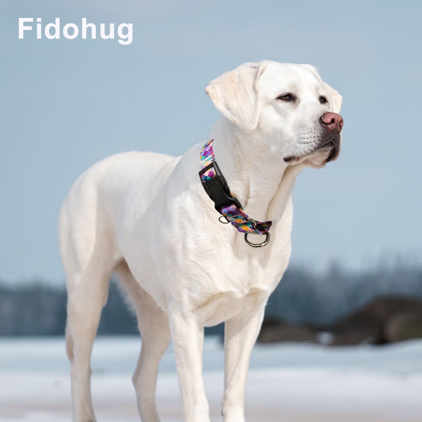 Fidohug Reflective Martingale Collar For Dogs With Quick Release Buckle No Pull Training Dog Collars (Colorful Geometric, Medium
