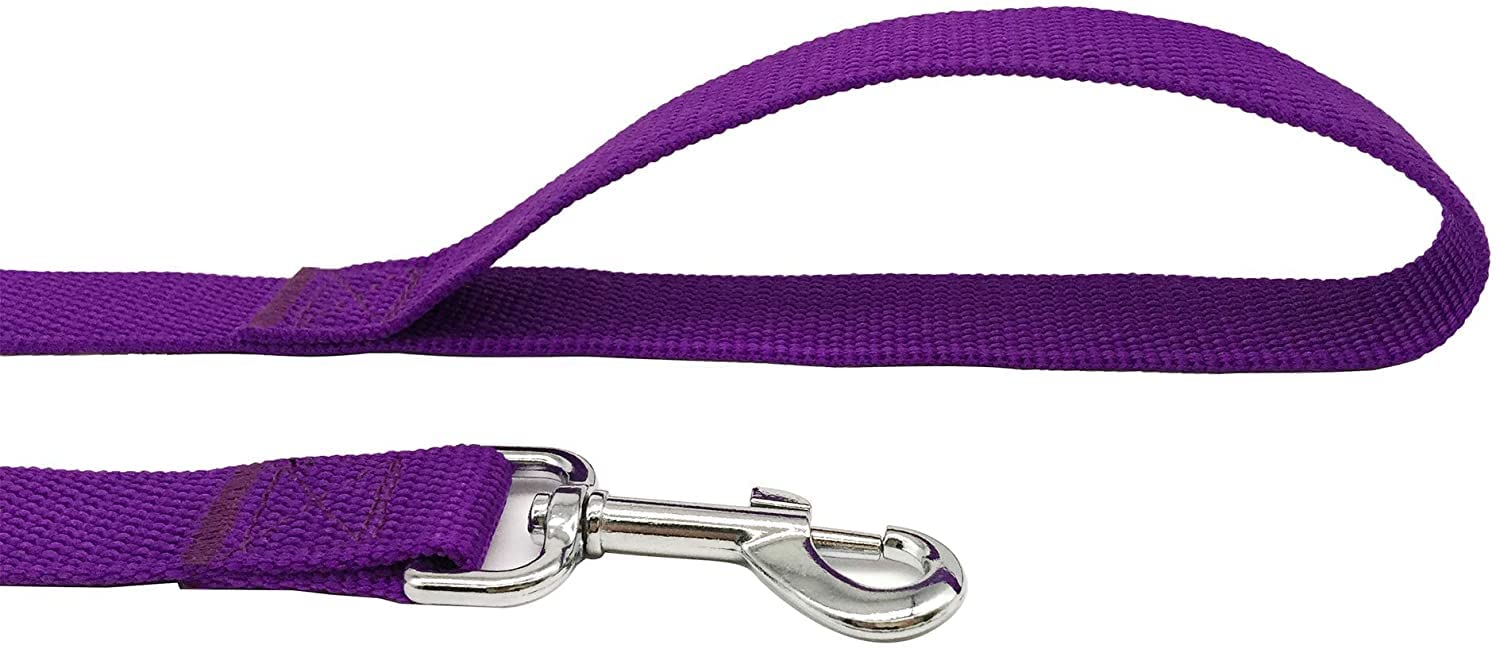 Taian 4Ft/5Ft/6Ft Strong Dog Leash, Nylon Dog Leashes For Small Medium Large Dogs (Purple, 1 In X 10 Ft)