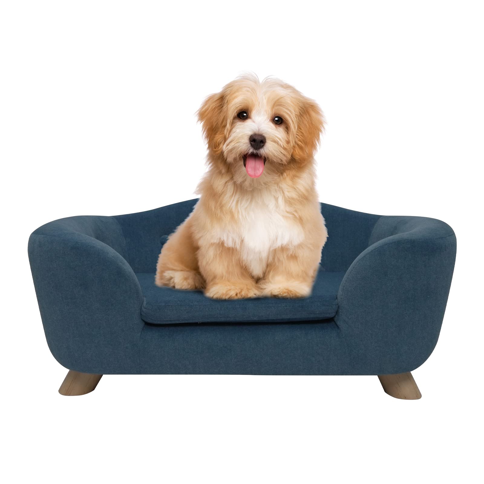 Shavi Dog Sofa Pet Couch For Samll Pet Dog And Cats, Low Back Lounging Bed With Velvet Modern Cat Couch Easy-To-Clean(Blue)