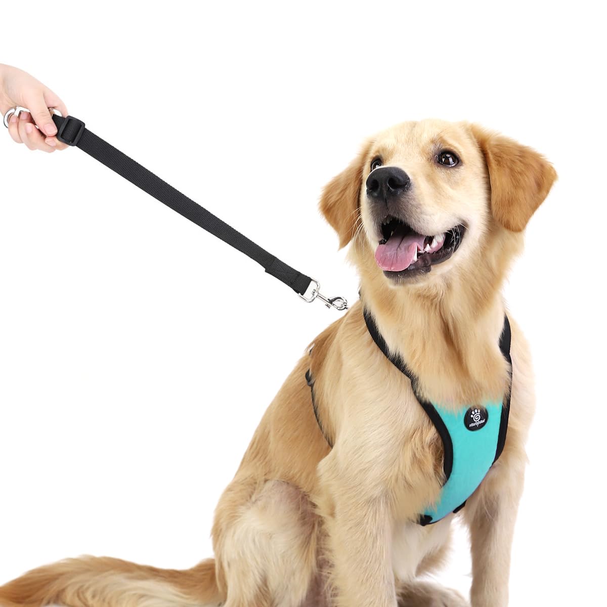 Vavopaw Dog Vehicle Safety Vest Harness, Adjustable Soft Padded Mesh Car Seat Belt Leash Harness With Travel Strap And Carabiner For Most Cars, Large Size, Blue