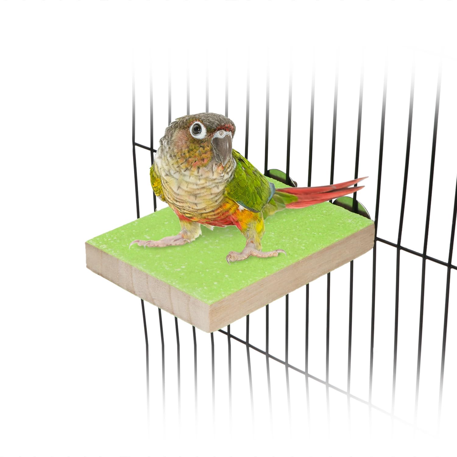 Hypeety Colorful Bird Perch Stand Platform For Parrot Macaw African Greys Budgies Parakeet Cockatiels Natural Wood Paw Grinding Clean Cage Toy (Random Color)(B)