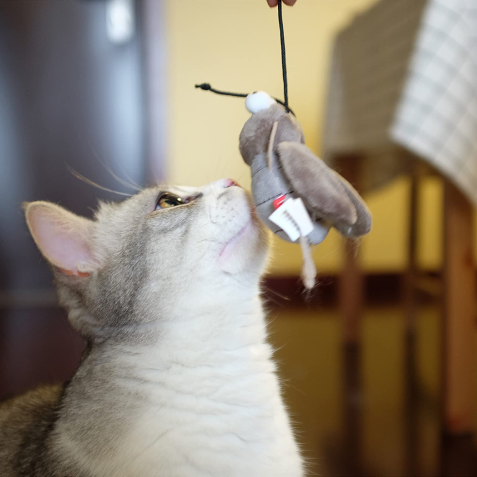 Gigwi Squeaky Cricket Cat Toy,Interactive Cat Toys Electronic Motion Activated Bug Sound,Automatic Cat Play Squeaky Toy For Indoor Fun