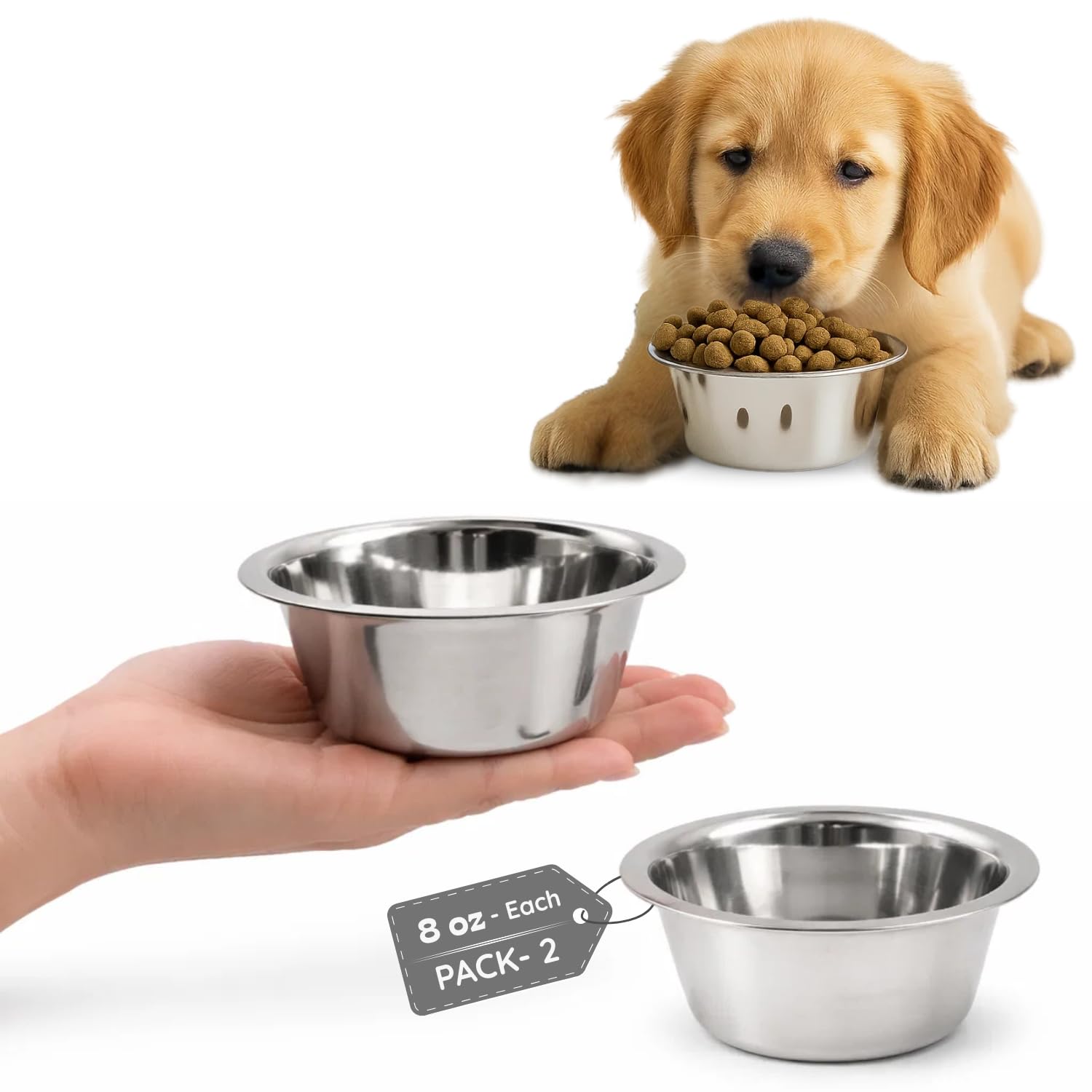 AASPIRE PETS 2 Pack Shallow Stainless Steel Cat & Dog Bowls, 1 Cup (8 oz) Each, Heavy Duty Small Pet Only Puppy Kitten & Birds F