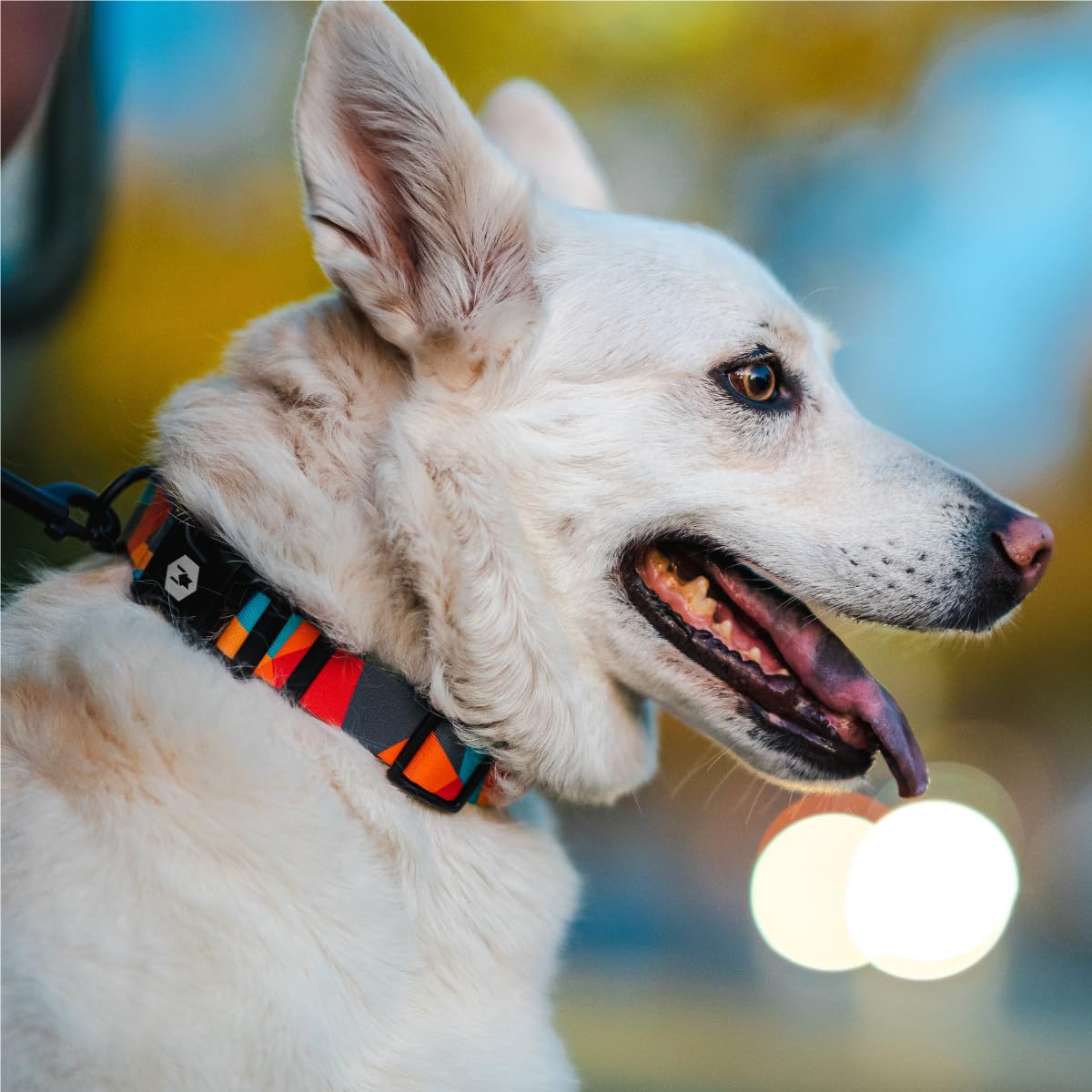 Wolfgang Heavy Duty Martingale Dog Collar With Quick Release Nylon Buckle For Walking & Training, Shattershapes Print, Medium