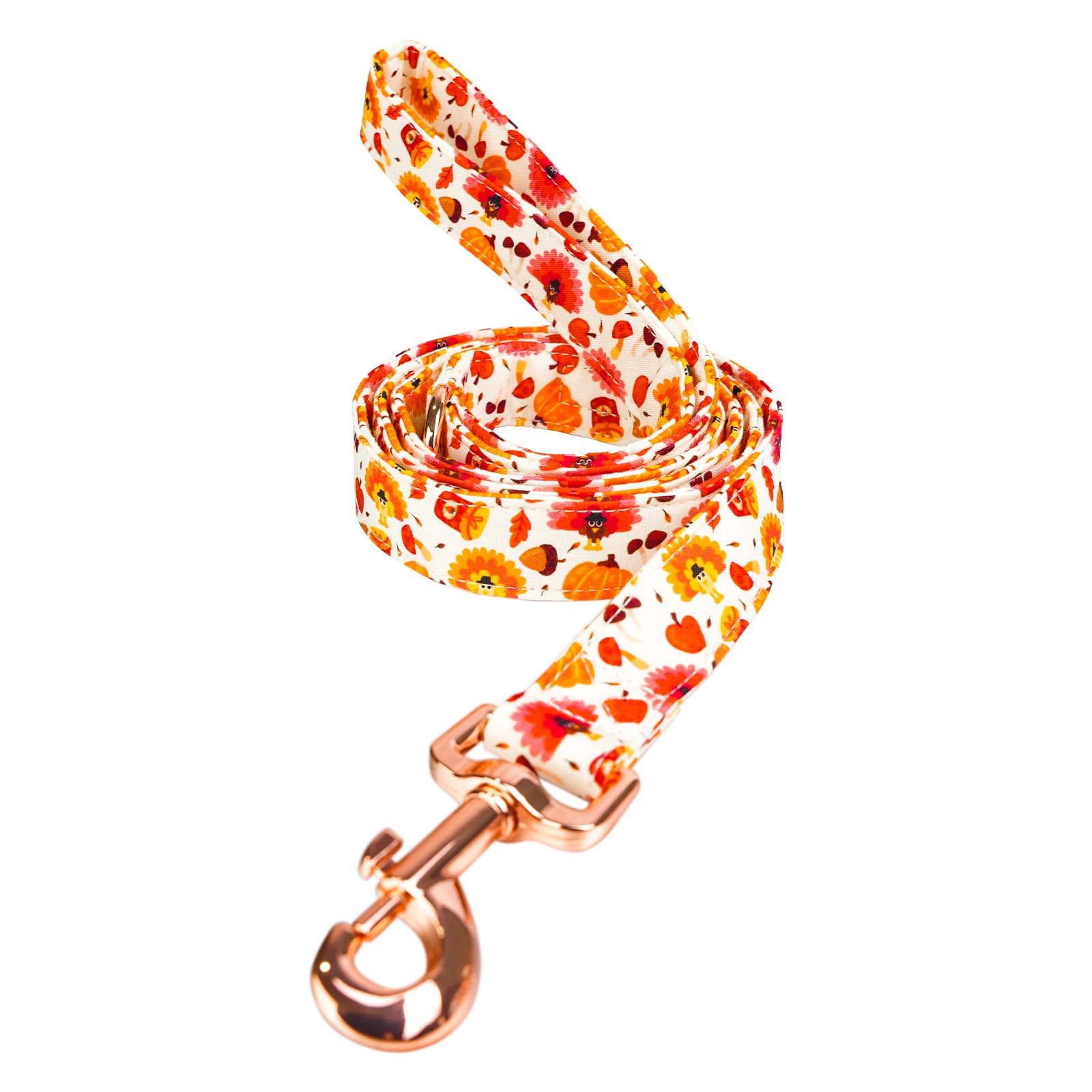 Tunkoo Dog Leash Pumpkin And Turkey Pattern - Durable, Stylish Thanksgiving Pet Leash, Available In Small, Medium And Large, Dai
