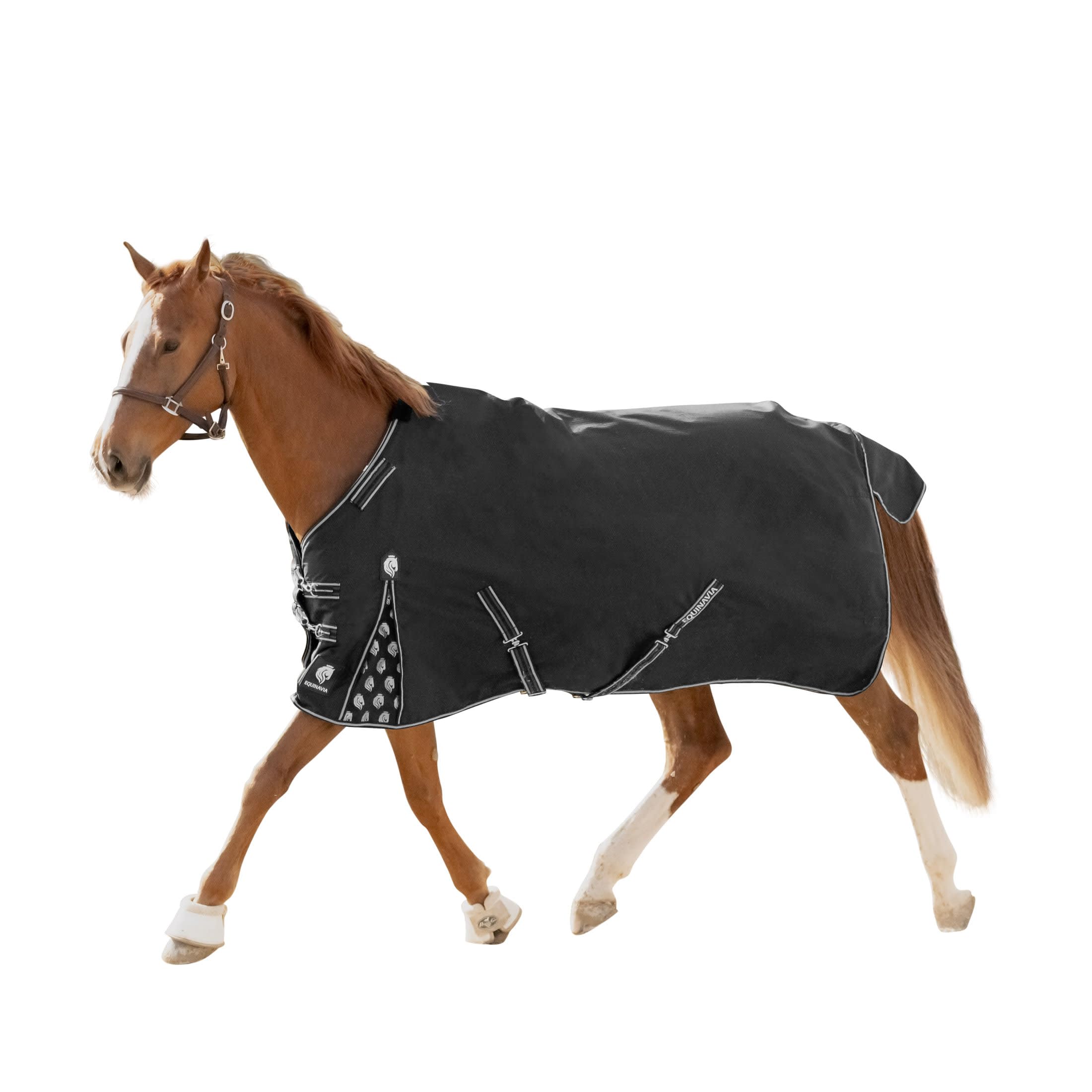 Equinavia Norse No Fill Horse Rain Blanket (0G) | Waterproof Lightweight Turnout Sheet - Black - 66 In - Black - 78 In