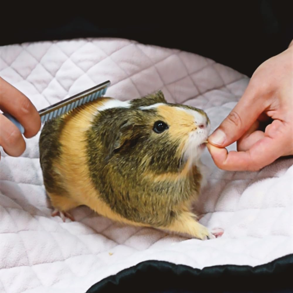 Guineadad Cuddlecomb - Pet Brush For Dogs, Cats, Rabbits, And Guinea Pigs - Rubber Grip, Silicone Bands For Shedding, Molting, And Shiny Coat (Short)