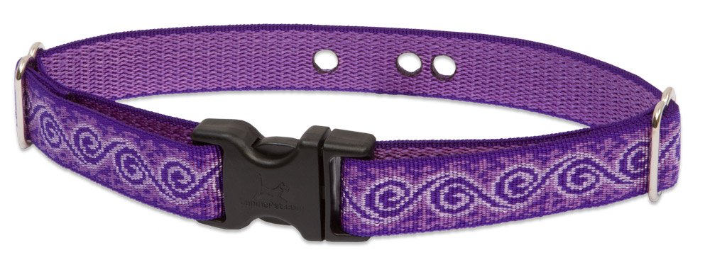 LupinePet Originals 1'' Jelly Roll 19-31'' Containment Collar Strap for Large Dogs