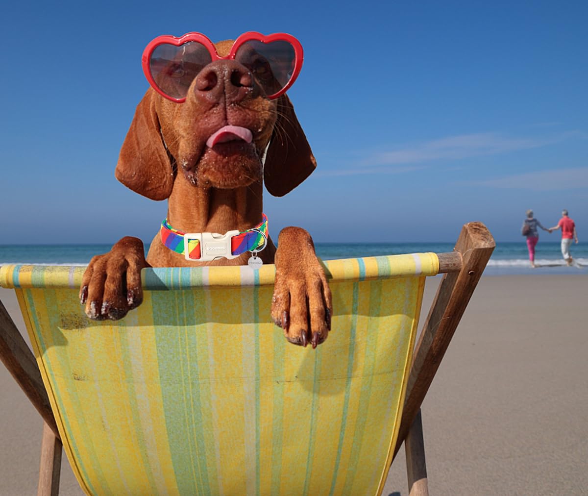 Dogwong Rainbow Dog Collar - Soft Natural Fabric, Cute Lgbtq Puppy Necklace For Small To Large Dogs