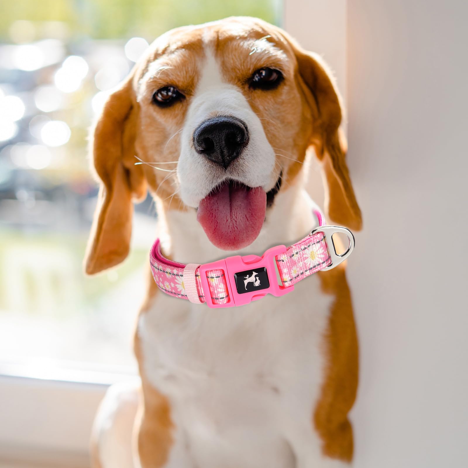 Maowuwujoz Reflective Dog Collar For Medium Dogs - Soft Neoprene Padded, Adjustable Nylon Durable With Stylish Pink Daisy Design