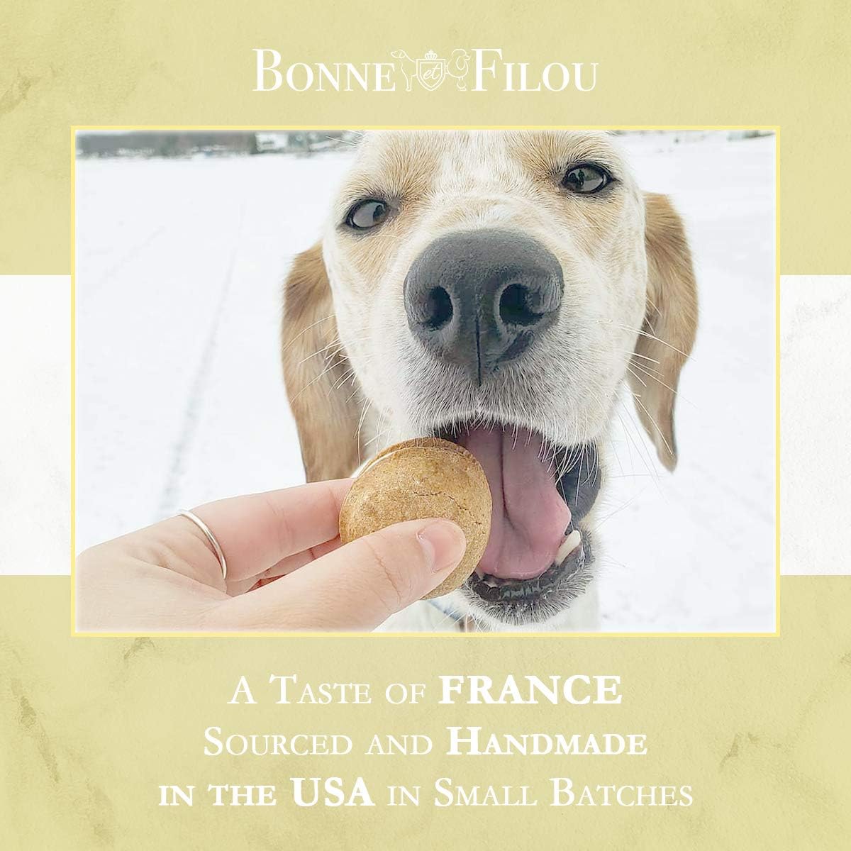 Bonne et Filou Dog Treats Vanilla Cupcakes, Dog Birthday Gift for Medium to Large Breed - Gourmet Macaron Cakes, Healthy & Delic