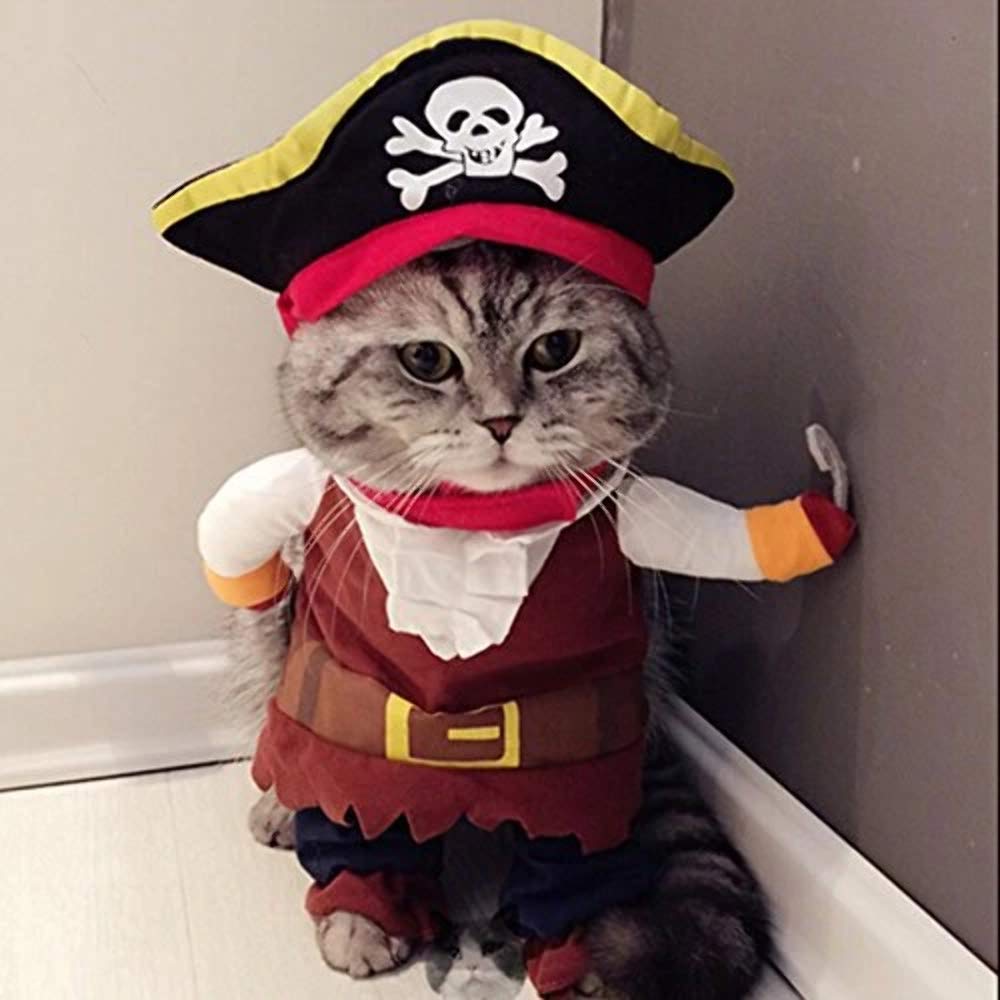 Idepet New Funny Pet Clothes Pirate Dog Cat Costume Suit Corsair Dressing Up Party Apparel Clothing For Cat Dog Plus Hat (Medium)