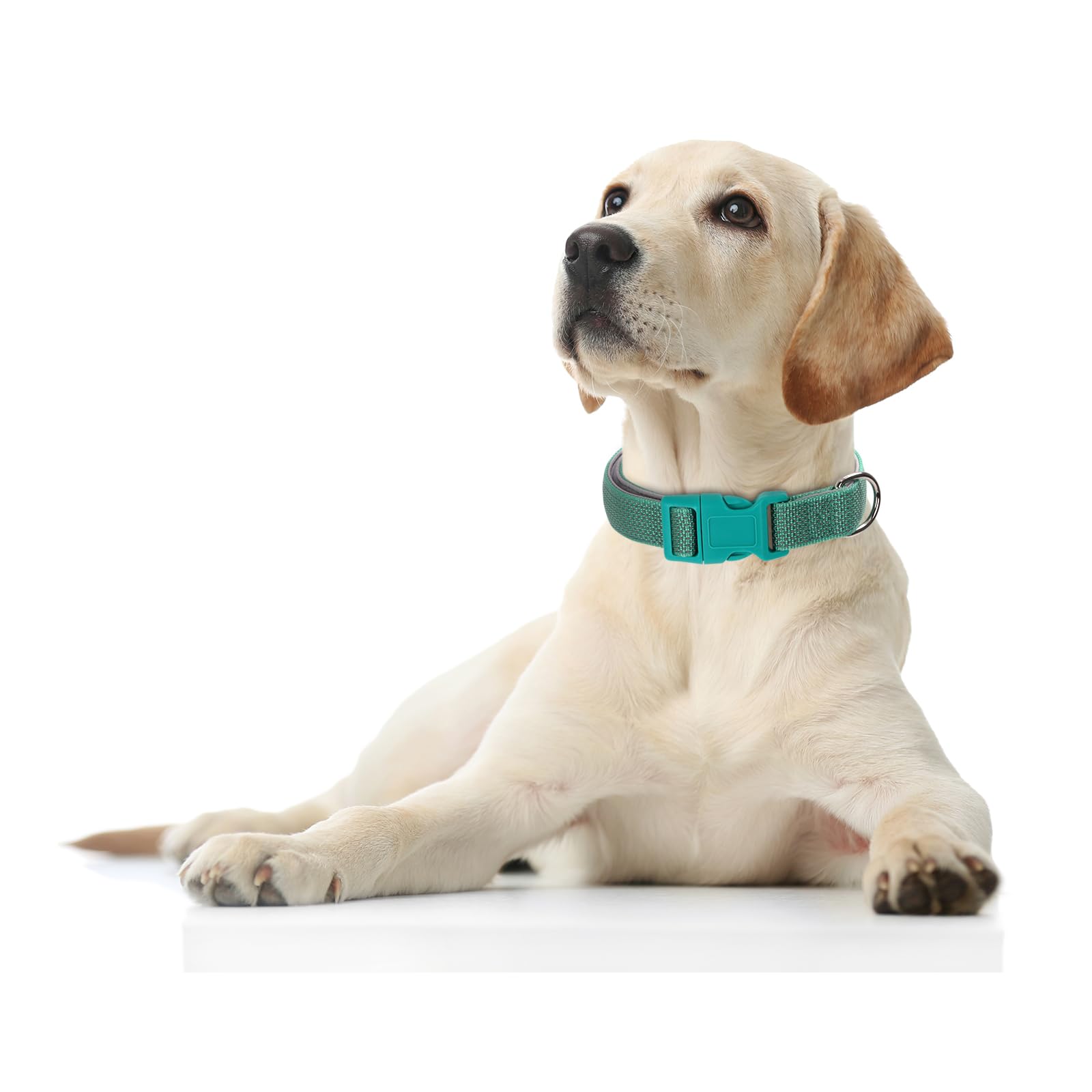 Reflective Dog Collar Padded-4 Size, Breathable Nylon Soft Neoprene Pet Collar For Small Medium And Large Dogs (Green, M)
