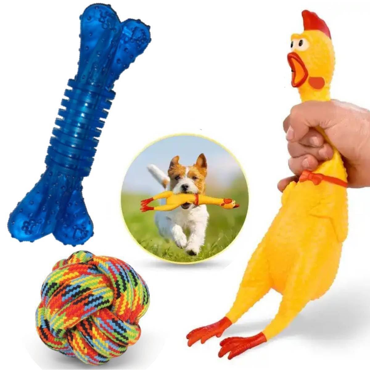 PETZLUV Puppies 3 in 1 Combo Toys for Dog Squeaky Chew Natural Latex Rubber (Large), Flavour Rubber Bone, Rope Ball Toy for Pupp