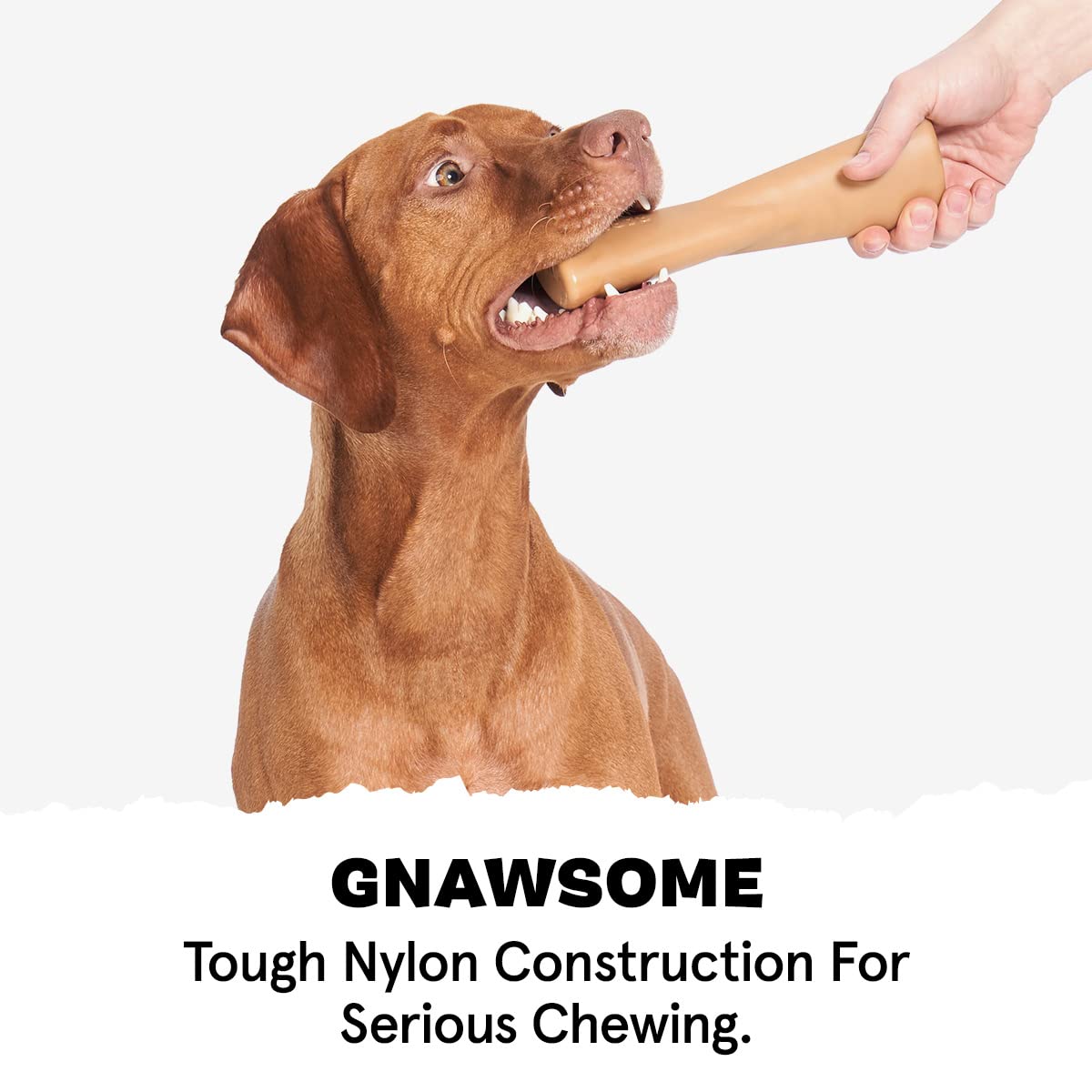 Barkbox Super Chewer Tough Dog Chew Toys For Aggressive Chewers, Dental Stimulating (Pb Bone - Small)