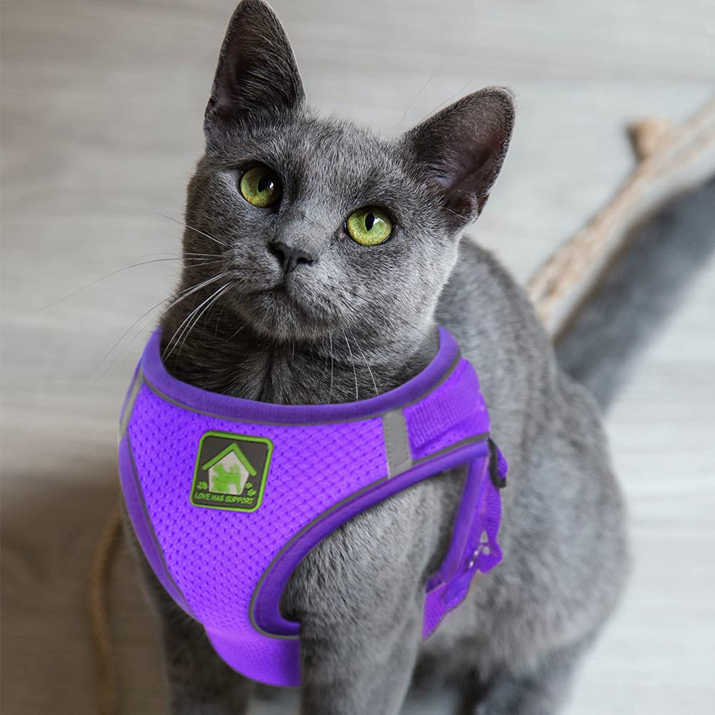 Feimax Dog Harness And Leash Set, No-Pull Breathable Soft Mesh Puppy Vest Harness Reflective Adjustable Pet Harnesses For Small Medium Dogs And Cats - Outdoor Easy Control For Walking (M, Purple)