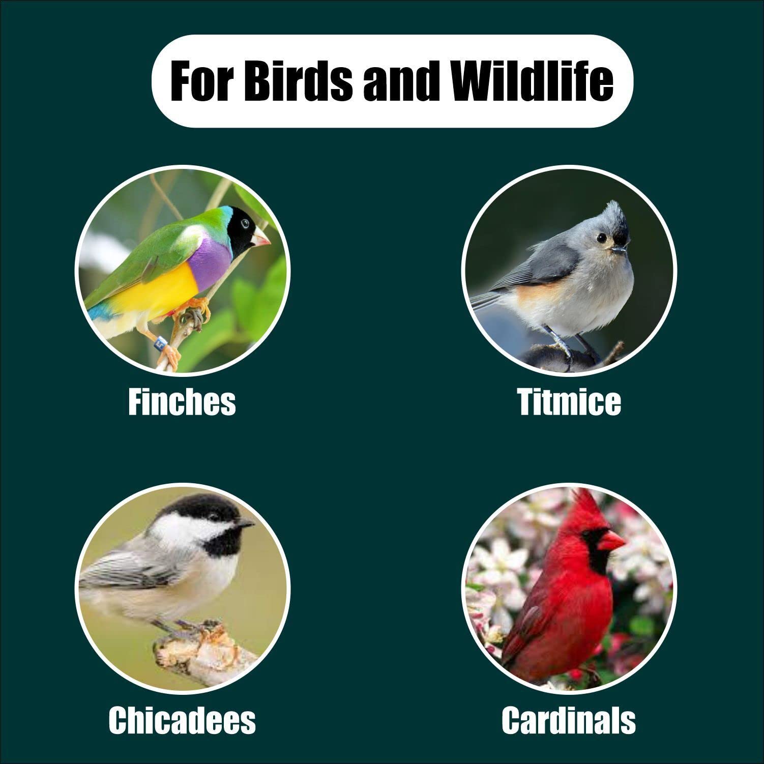 Old Potters Wildlife Black Oil Sunflower Seeds for Birds and Wildlife, Non-GMO & USA Grown on Small Farms (50 lbs)